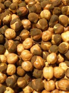 Roasted Chana During Winters